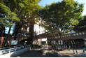 【役所】東村山市役所　約600m