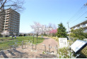 【公園】萩山四季の森公園　約55m