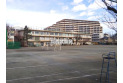 【中学校】第四中学校　約700m