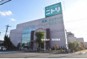 【その他販売店】ニトリ　約510m