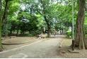 【公園】向台公園　約710m