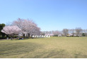 【公園】東村山中央公園　約570m