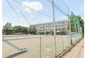 【小学校】中富小学校　約300m