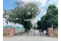 【中学校】大井東中学校　約450m