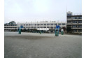 【小学校】東金子小学校　約1,200m