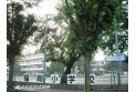 【小学校】福岡小学校　約720m
