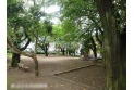 【公園】関沢公園　約120m