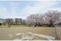 【公園】福岡中央公園　約1,500m