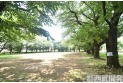 【公園】みずほ台中央公園　約750m