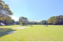 【公園】水子貝塚公園　約700m