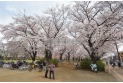 【公園】福岡中央公園　約500m