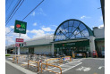 【スーパー】マルエツ蓮田椿山店　約550m