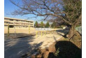 【小学校】黒浜西小学校　約270m