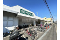 【スーパー】ジャパンミート卸売市場　約300m