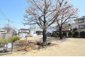 【公園】北野さくら公園　約500m