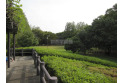 【公園】伊佐沼公園　約1,000m