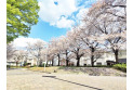 【公園】市沢公園　約700m