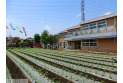 【幼稚園・保育園】あおば幼稚園　約550m
