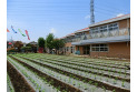 【幼稚園・保育園】あおば幼稚園　約450m