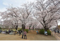 【公園】福岡中央公園　約600m