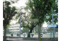 【小学校】福岡小学校　約900m