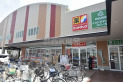 【ドラッグストア】サンドラッグふじみ野大原店　約300m