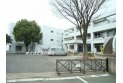 【中学校】富士見市立富士見台中学校　約1,100m