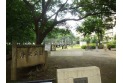 【公園】唐沢公園　約700m