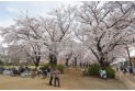 【公園】福岡中央公園　約300m