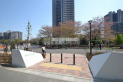 【公園】南むさしの公園　約800m