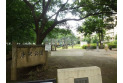 【公園】唐沢公園　約750m
