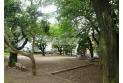 【公園】関沢公園　約250m