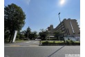 【病院】多摩北部医療センター　約1,080m