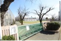 【小学校】久米川東小学校　約290m