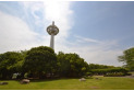 【公園】所沢航空公園　約900m