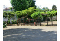 【公園】松山公園　約210m