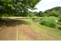 【公園】金山緑地公園　約590m