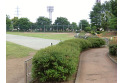 【公園】東村山運動公園　約550m