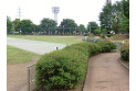 【公園】東村山運動公園　約140m