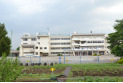 【小学校】神宝小学校　約800m