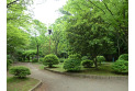 【公園】秋津公園　約750m
