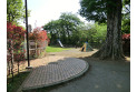 【公園】桂木公園　約140m