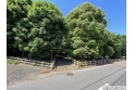 【公園】亀ヶ谷公園　約1,200m