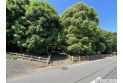 【公園】亀ヶ谷公園　約1,420m
