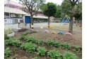 【幼稚園・保育園】上水南保育園　約350m