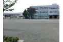 【小学校】国立第一小学校　約500m