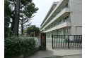 【小学校】東小学校　約460m