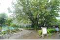 【公園】上水公園　約300m