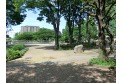【公園】矢川上公園　約530m