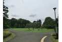 【公園】野川公園　約240m